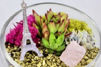 Plant Nite: Take me to Paris Terrarium